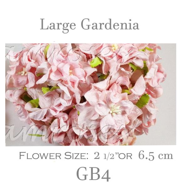 Large Gardenia GB4